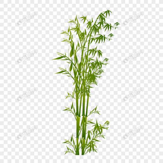 扁平化绿植竹子矢量素材