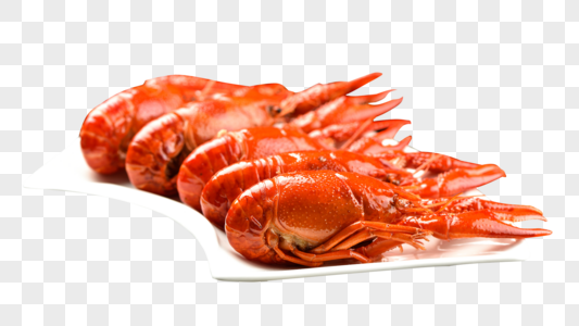 美食龙虾油焖龙虾高清图片