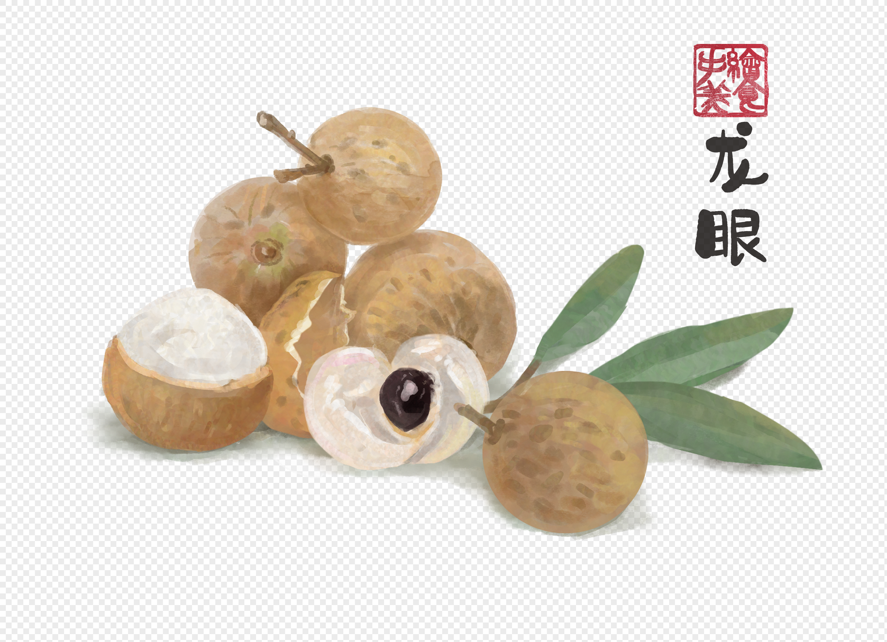 免抠元素 手绘/卡通元素 龙眼.psd