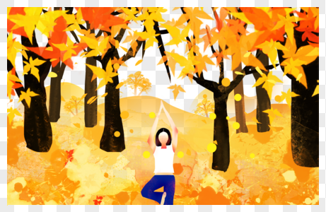 秋天的枫叶林子高清图片
