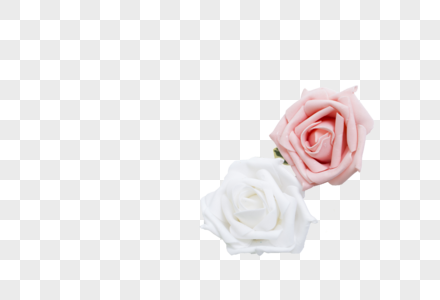玫瑰装饰元素粉花卉高清图片