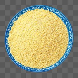 黄色米粒图片