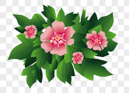 花卉植物手绘图片