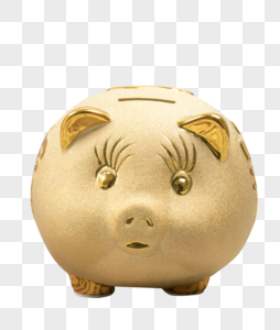 金币和金猪存钱罐储蓄罐高清图片