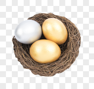 鸟巢里的蛋多角度拍摄图片