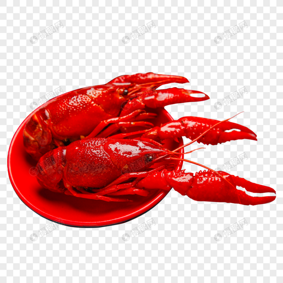 红烧小龙虾图片