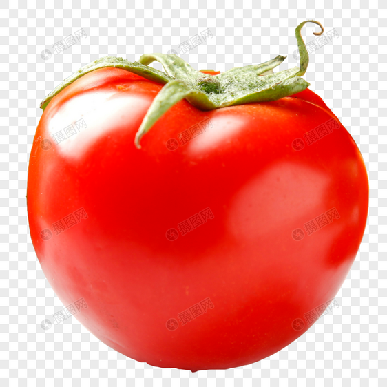 西红柿图片