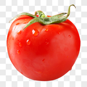 番茄西红柿单番茄高清图片