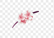 粉红桃花树枝图片