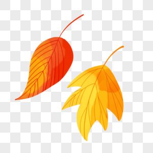 秋季叶子图片