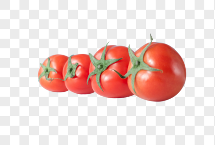 四个番茄红彤彤番茄高清图片