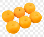 仿真水果橙子图片