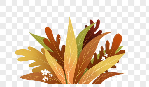 秋天植物装饰高清图片
