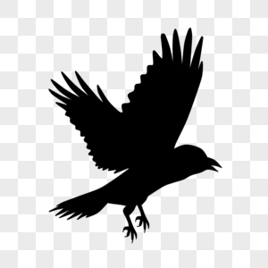 乌鸦高清图片手绘风格黑白素描小麦啤酒杯高清图片乌鸦高清图片黑白