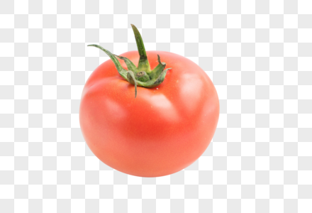 番茄番茄植物高清图片