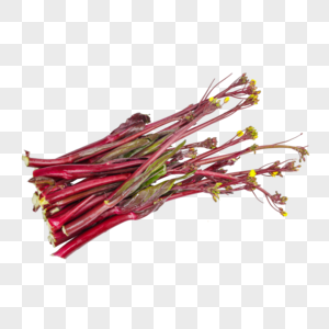 新鲜蔬菜菜苔紅蔾高清图片