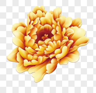 金色牡丹花素材