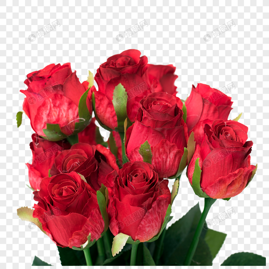 玫瑰花元素素材下载 正版素材 摄图网