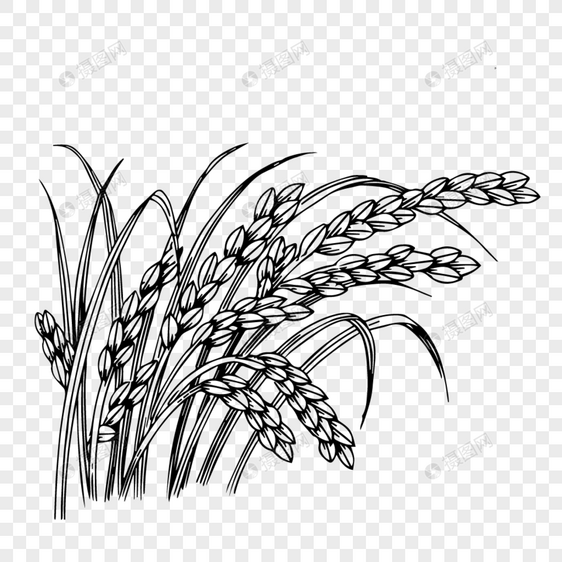 黑色线条麦穗装饰图案