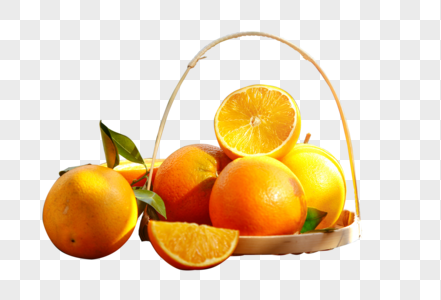 橙子挂在枝头的赣南脐橙高清图片