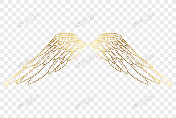 金色翅膀图片
