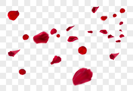 玫瑰花瓣红色花瓣高清图片