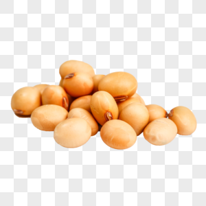 黄豆有机粮食高清图片