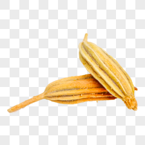 茴香花生米元素 茴香花生米免抠素材 Png图片下载 摄图网