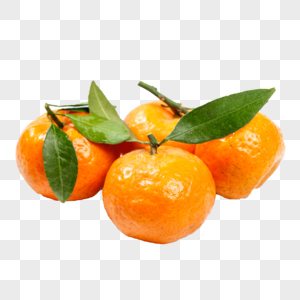 小橘子柑橘南丰桔高清图片