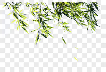 飘落的绿色竹叶素材图片