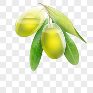绿色橄榄植物橄榄高清图片