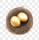 鸟巢里的金鸡蛋图片
