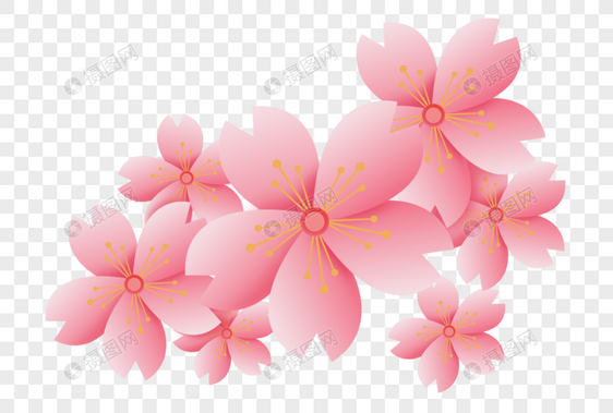 浪漫粉色樱花矢量花朵图片