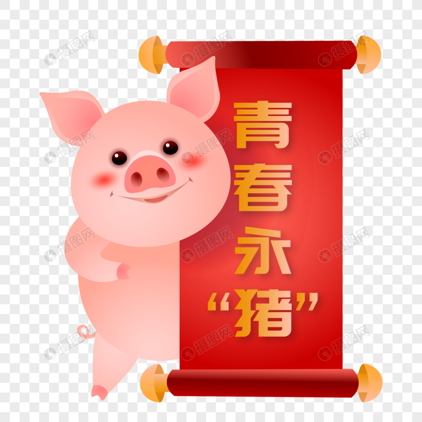 新年可爱小猪祝青春永猪图片