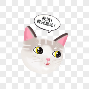 饥饿的小猫图片