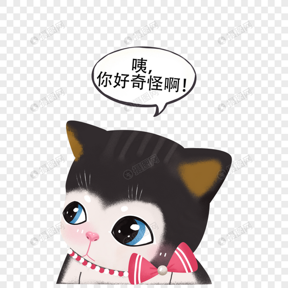 好奇的小猫图片