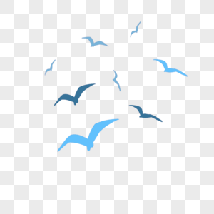 海鸥剪影飞翔的翅膀高清图片