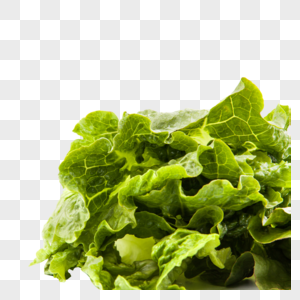 生菜元素菜叶子高清图片