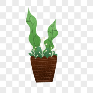 一盆绿色植物图片