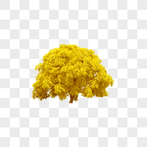 黄色的树图片
