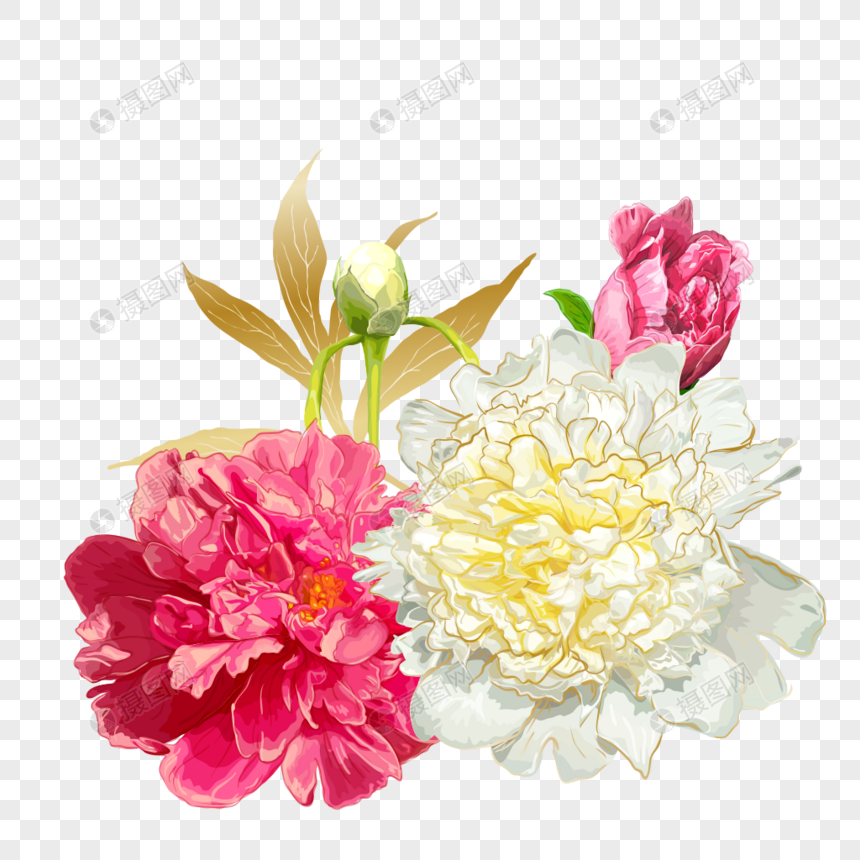 手绘富贵花元素素材下载 正版素材 摄图网 手绘富贵花元素素材下载 正版素材 摄图网