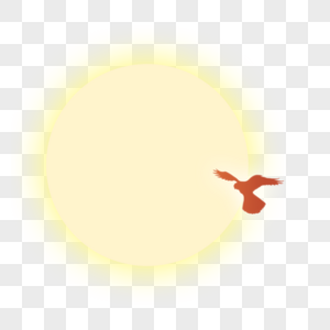 太阳下的雄鹰图片