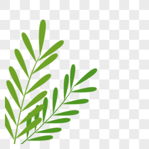 小草长出来图片