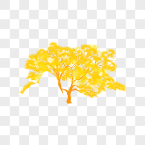 金色松树图片