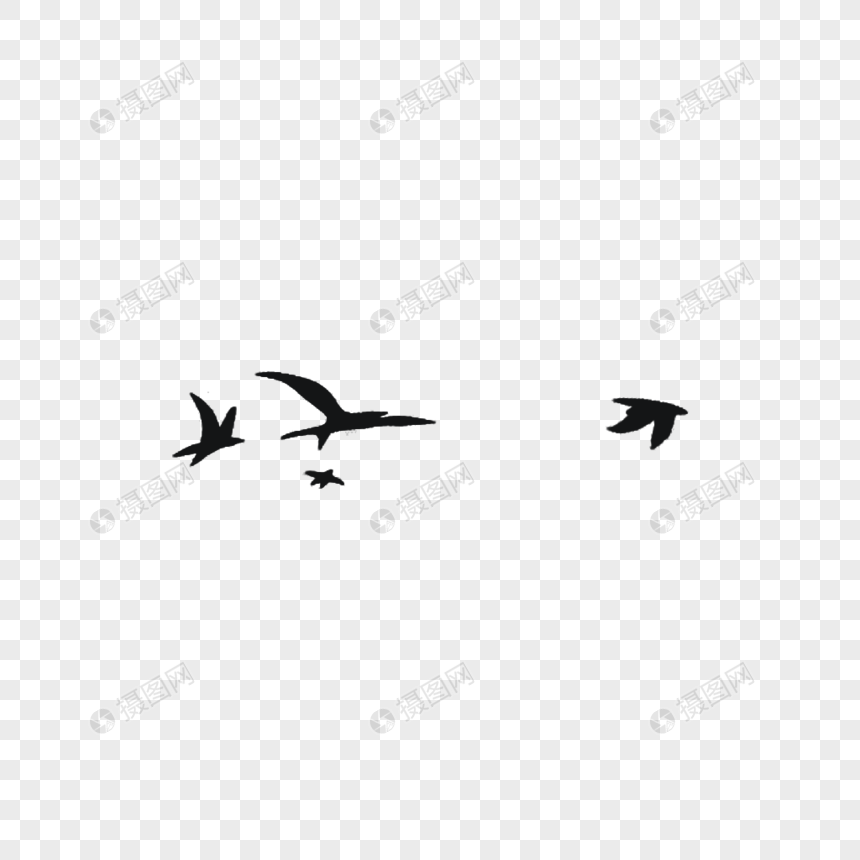Burung Png Hd