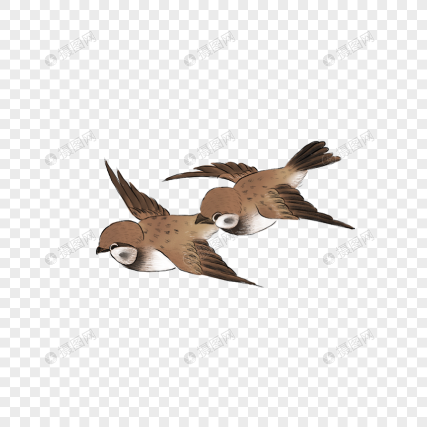 17++ Png image burung terbang png terbaru