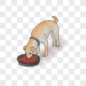 吃饭的狗图片