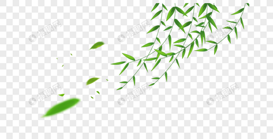 动感绿色树叶图片
