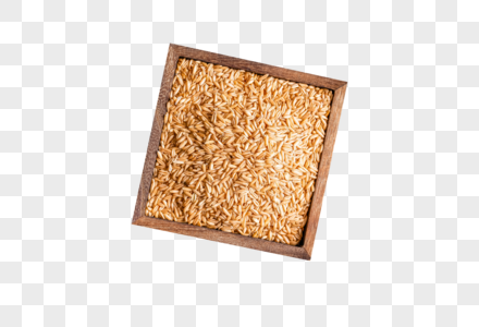 杂粮稻米图片