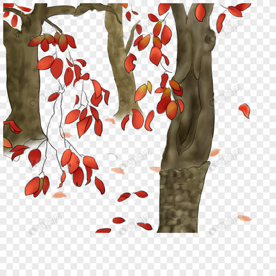 秋季的树图片